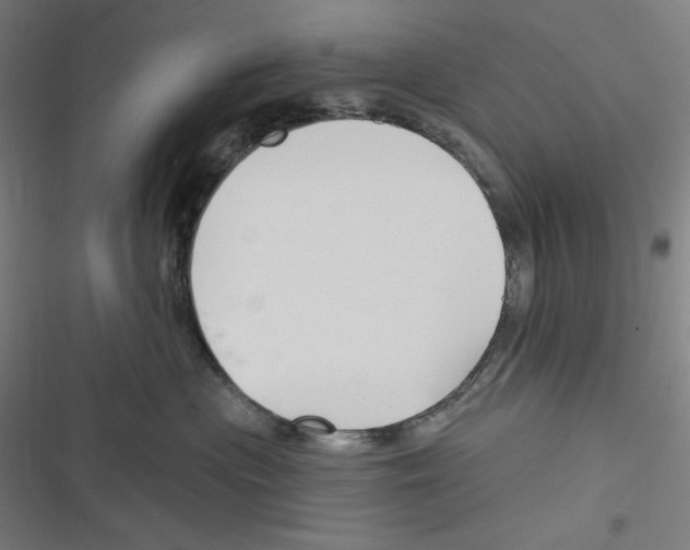 X0000116300477201001111121