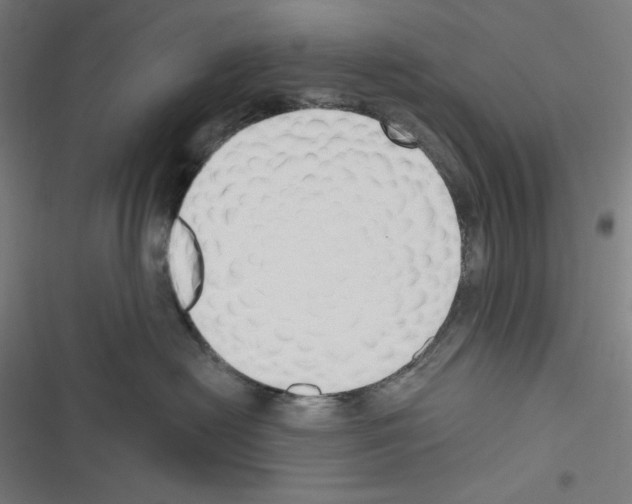 X0000116300478201001111121