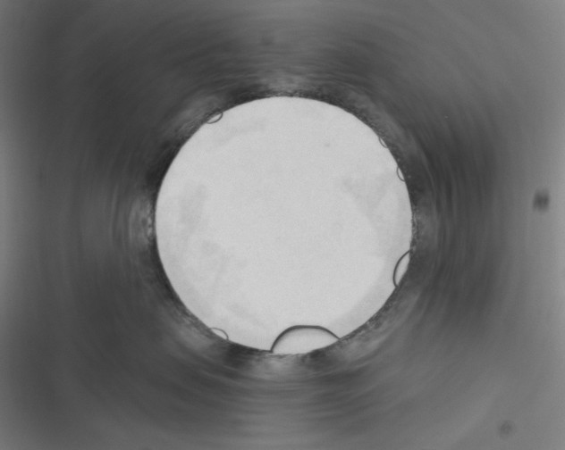 X0000116300479201001111121