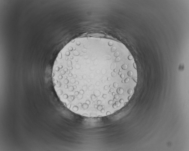 X0000116300480201001111121