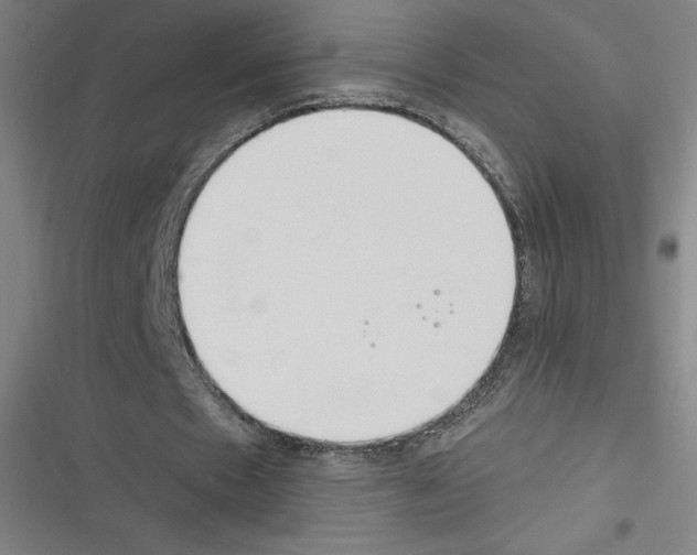 X0000116300481201001111120