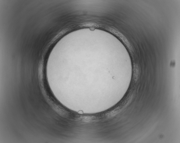 X0000116300482201001111120