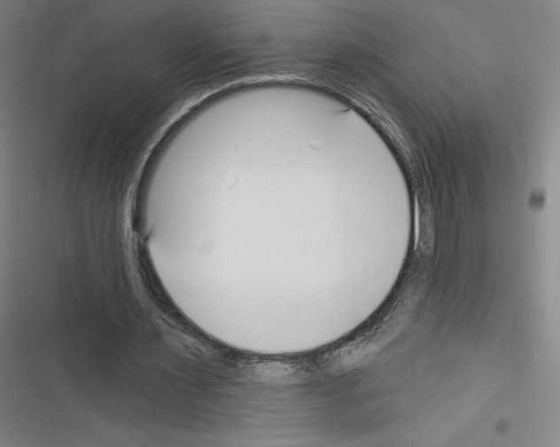 X0000116300483201001111120