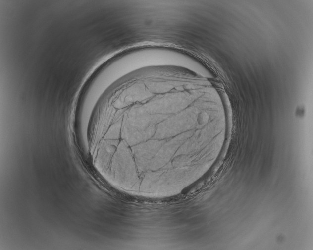 X0000116300484201001111120