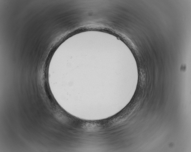 X0000116300487201001111120