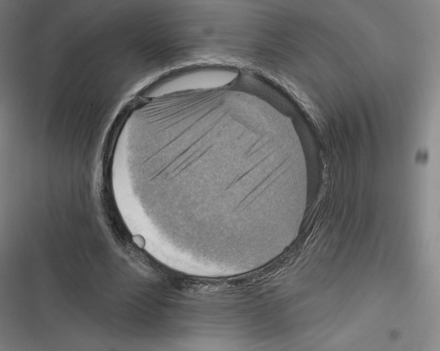 X0000116300488201001111120