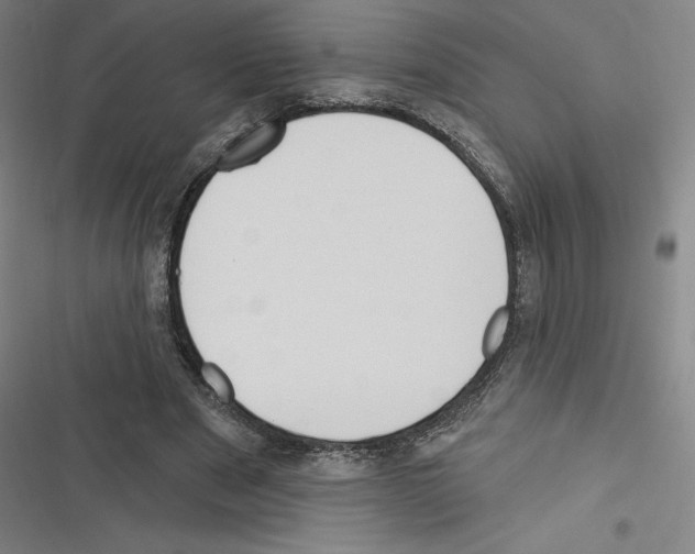 X0000116300489201001111120