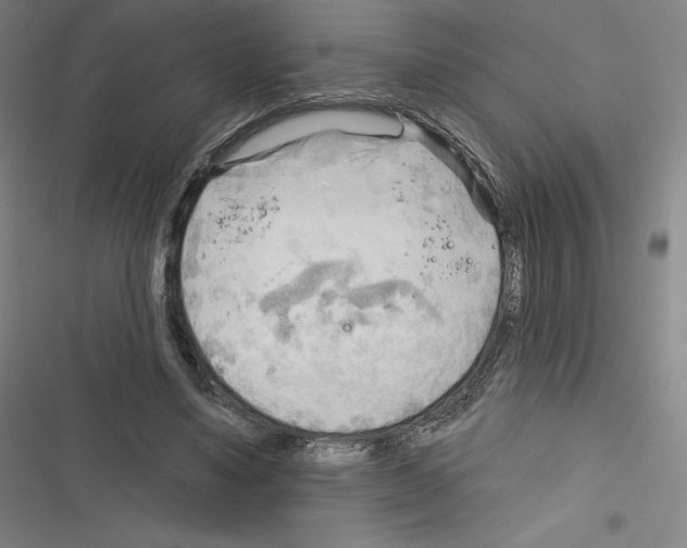 X0000116300491201001111120