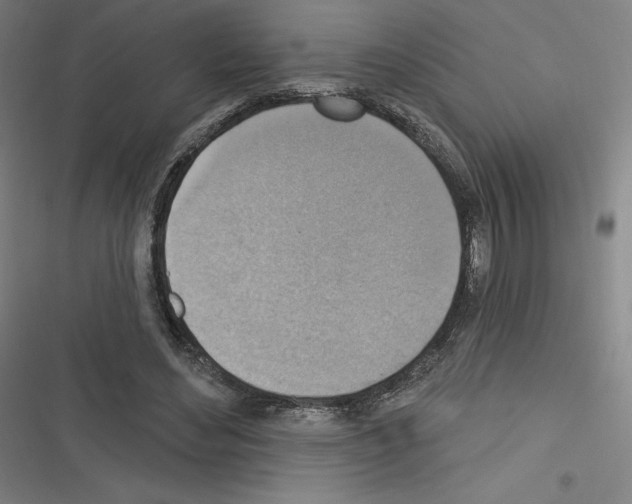 X0000116300492201001111120