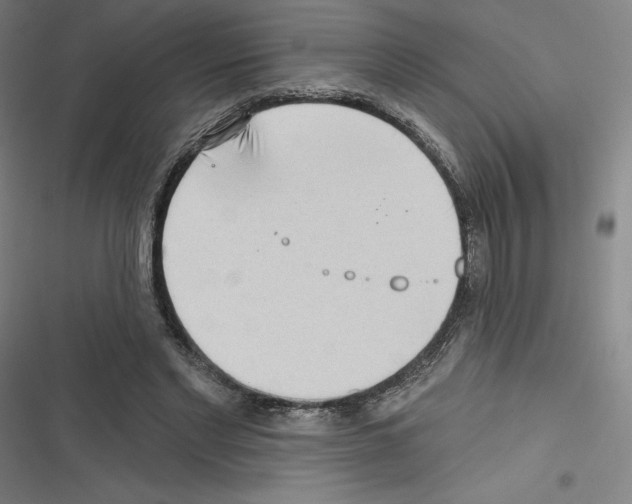 X0000116300493201001111120