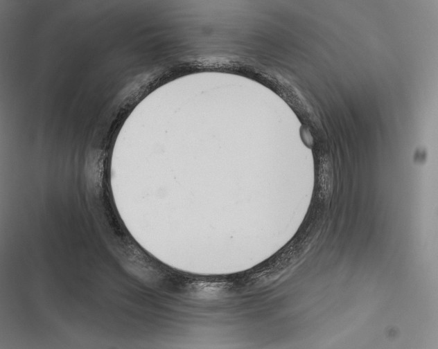 X0000116300495201001111120