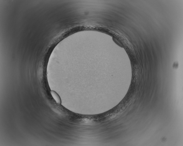 X0000116300496201001111120