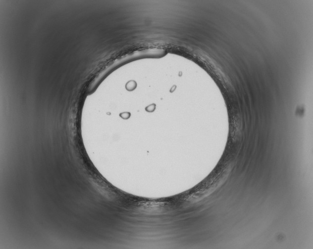 X0000116300497201001111120