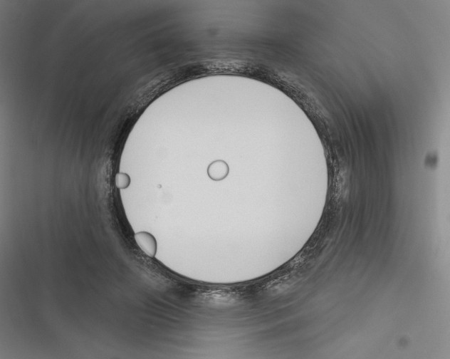 X0000116300498201001111120