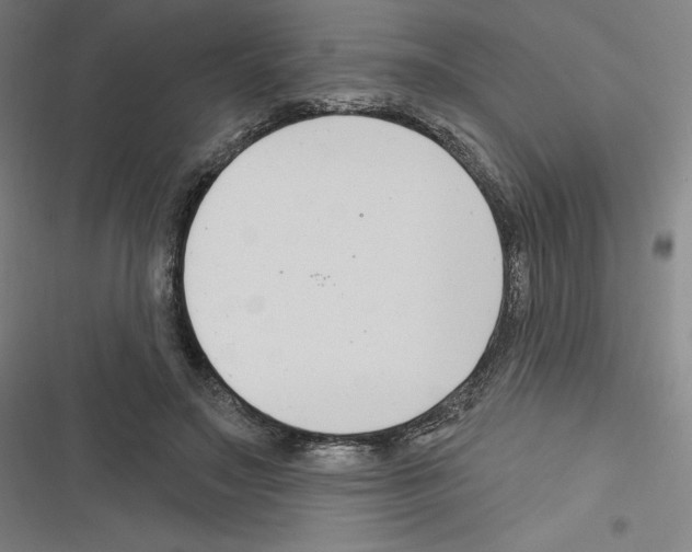 X0000116300499201001111120