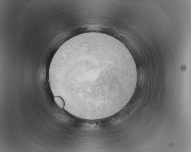 X0000116300502201001111120