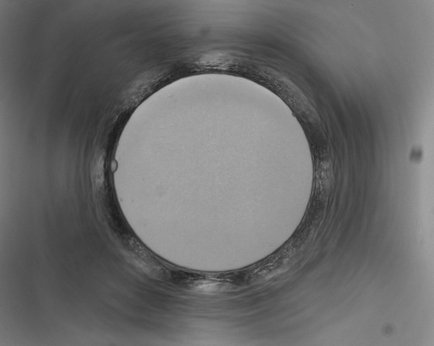 X0000116300504201001111120