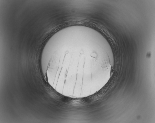 X0000116300505201001111120