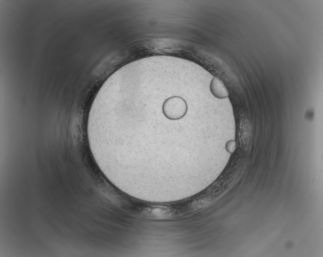 X0000116300506201001111120