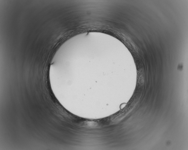 X0000116300509201001111120