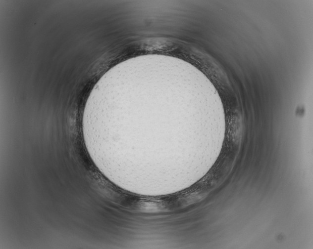 X0000116300510201001111120