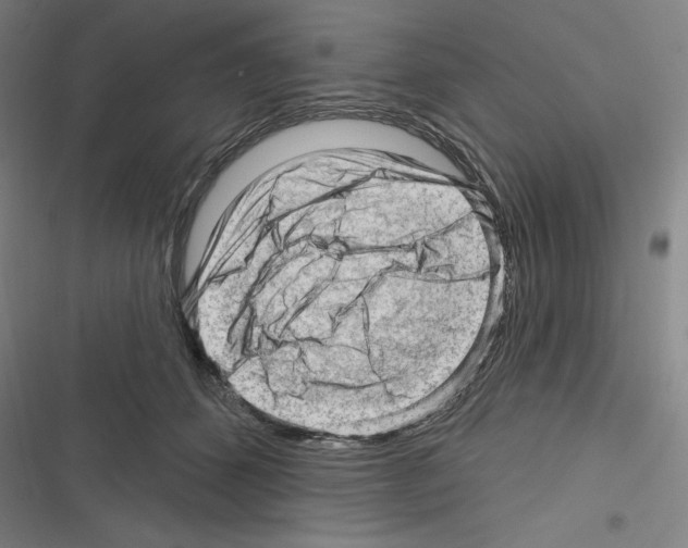 X0000116300512201001111120