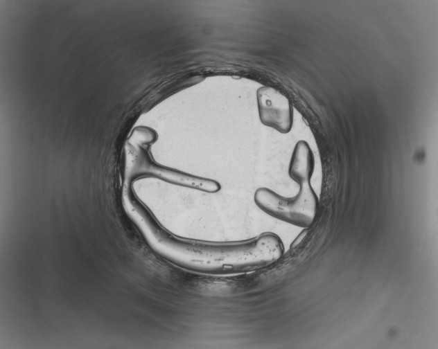 X0000116300513201001111120