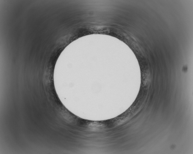 X0000116300515201001111120