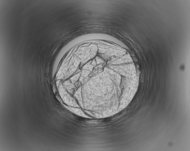 X0000116300516201001111120