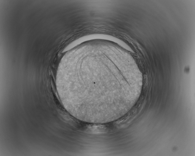 X0000116300517201001111120