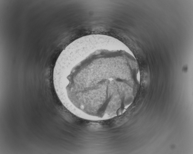 X0000116300519201001111120