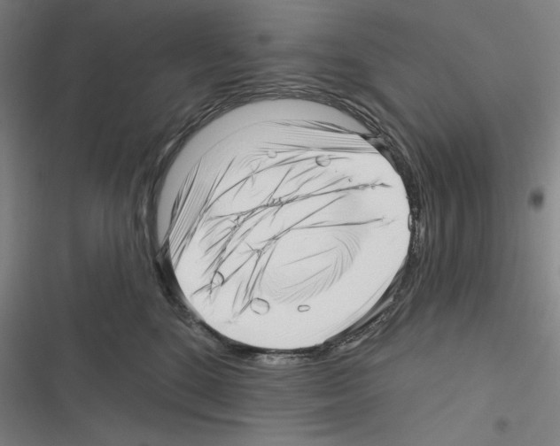 X0000116300520201001111120