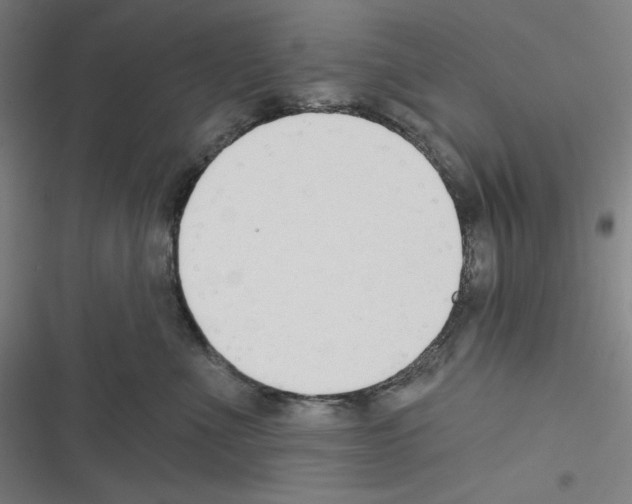 X0000116300523201001111120