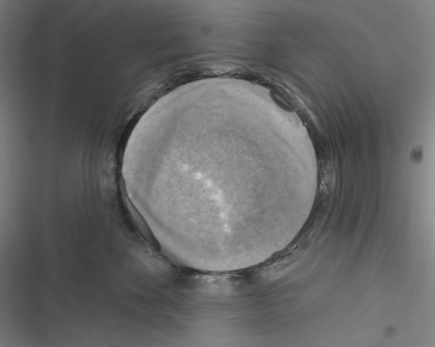 X0000116300524201001111120