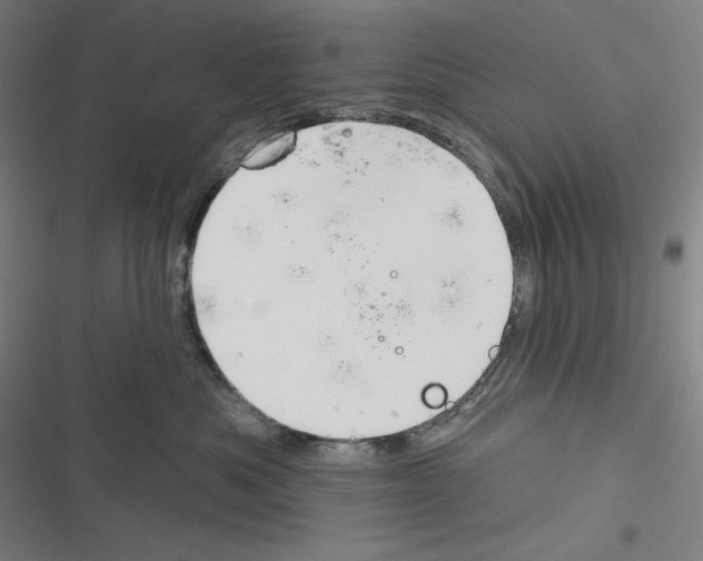 X0000116300525201001111120