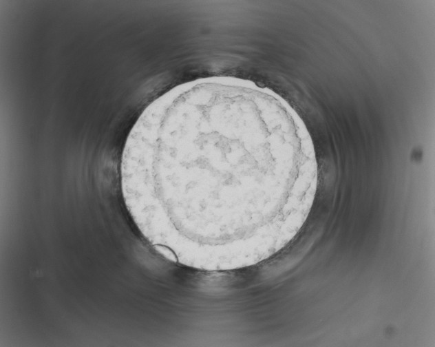 X0000116300527201001111120