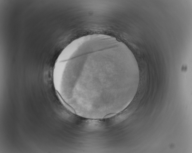 X0000116300528201001111120