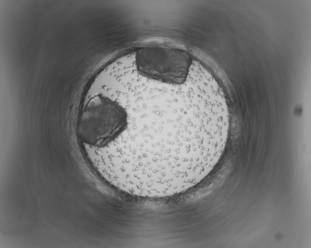 X0000116300529201001111119