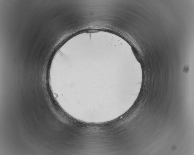 X0000116300530201001111119