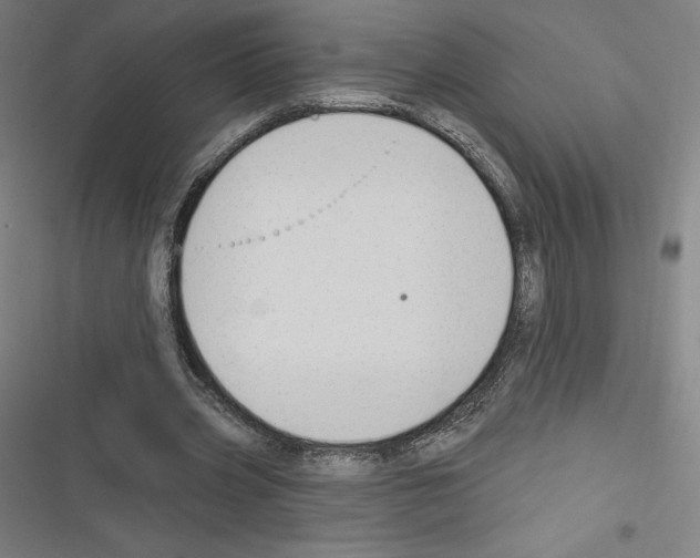 X0000116300533201001111119