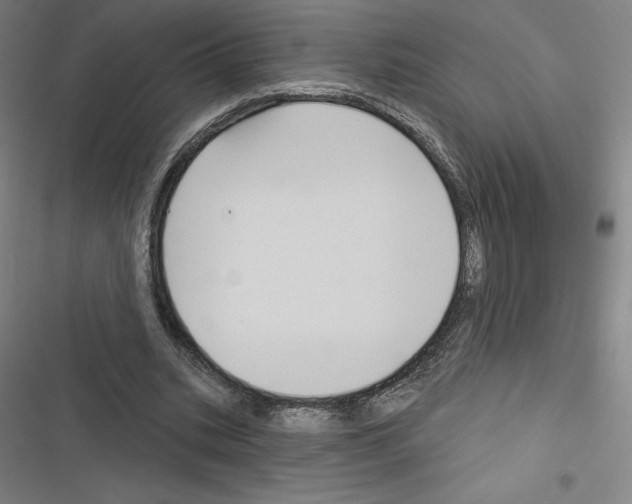 X0000116300535201001111119