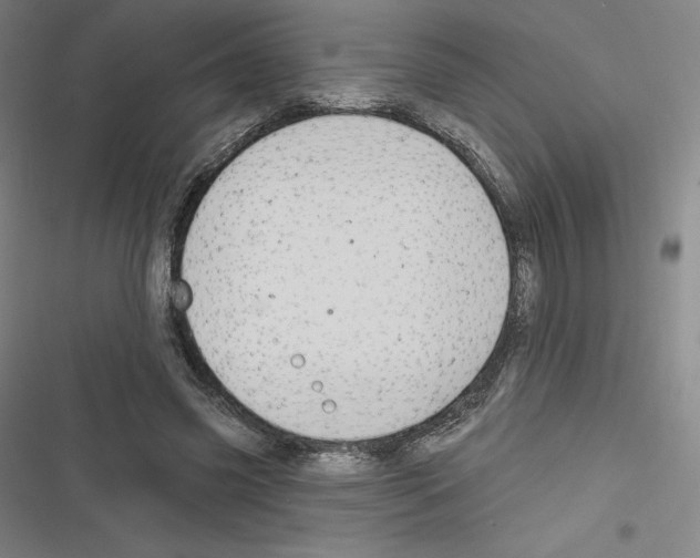 X0000116300541201001111119