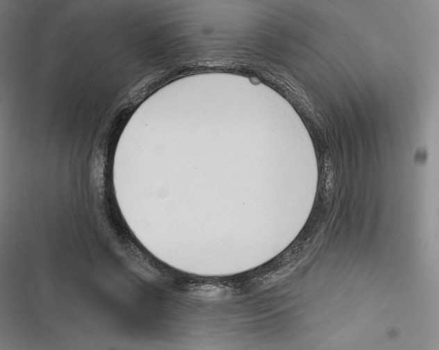 X0000116300542201001111119