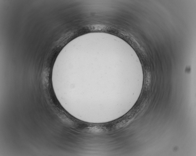 X0000116300545201001111119