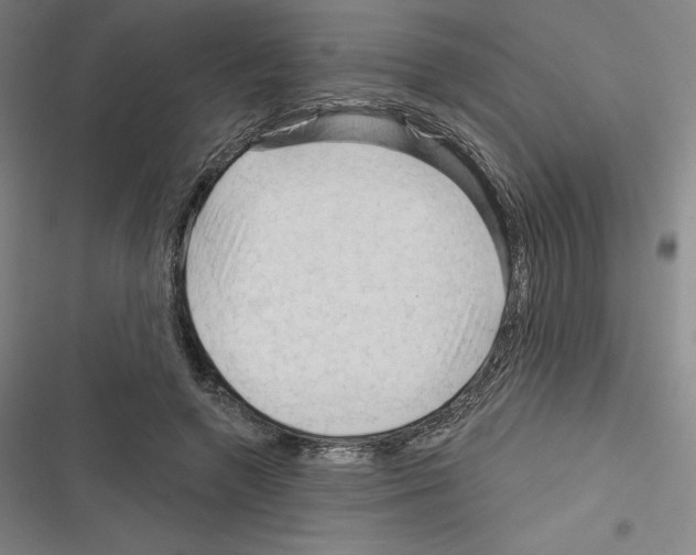 X0000116300546201001111119