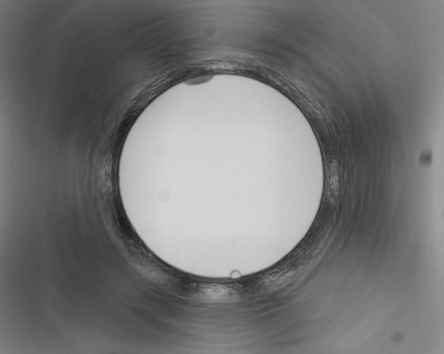 X0000116300547201001111119