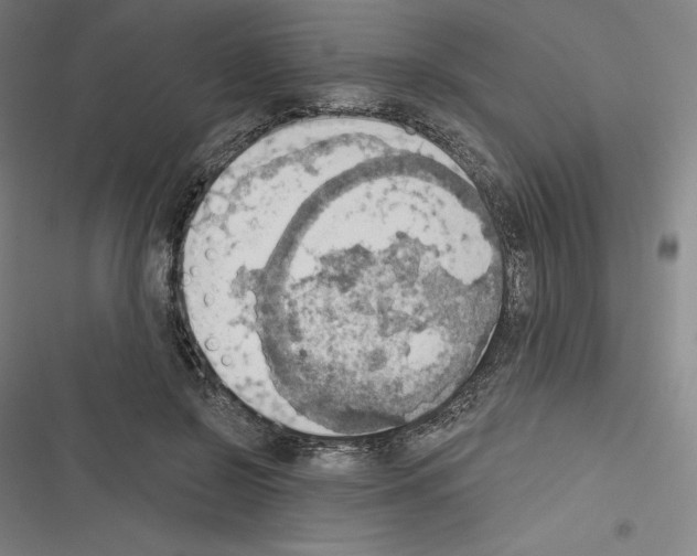 X0000116300550201001111119