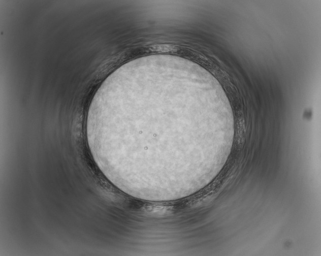 X0000116300553201001111120