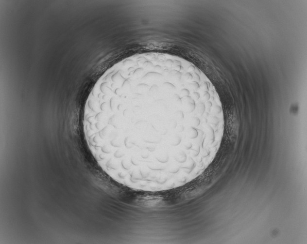 X0000116300554201001111120