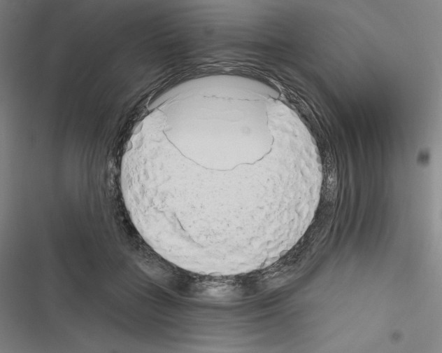 X0000116300555201001111120